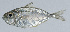  ( - PI-0228)  @11 [ ] CreativeCommons  Attribution Non-Commercial (by-nc) (2011) Unspecified Smithsonian Institution National Museum of Natural History