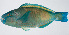 ( - PI-0284)  @11 [ ] CreativeCommons  Attribution Non-Commercial (by-nc) (2011) Unspecified Smithsonian Institution National Museum of Natural History