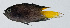  ( - PI-0293)  @11 [ ] CreativeCommons  Attribution Non-Commercial (by-nc) (2011) Unspecified Smithsonian Institution National Museum of Natural History