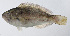  ( - PI-0348)  @11 [ ] CreativeCommons  Attribution Non-Commercial (by-nc) (2011) Unspecified Smithsonian Institution National Museum of Natural History