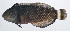  ( - RP-069)  @11 [ ] CreativeCommons  Attribution Non-Commercial (by-nc) (2012) Unspecified Smithsonian Institution National Museum of Natural History