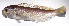  ( - LUZ-089)  @11 [ ] CreativeCommons  Attribution Non-Commercial (by-nc) (2017) Unspecified Smithsonian Institution National Museum of Natural History