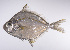  ( - LUZ-306)  @11 [ ] CreativeCommons  Attribution Non-Commercial (by-nc) (2017) Unspecified Smithsonian Institution National Museum of Natural History