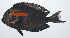  ( - RP-014)  @11 [ ] CreativeCommons  Attribution Non-Commercial (by-nc) (2012) Unspecified Smithsonian Institution National Museum of Natural History