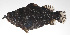  ( - PHI-007)  @11 [ ] CreativeCommons  Attribution Non-Commercial (by-nc) (2013) Unspecified Smithsonian Institution National Museum of Natural History
