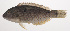  ( - VIS-072)  @11 [ ] CreativeCommons  Attribution Non-Commercial (by-nc) (2015) Unspecified Smithsonian Institution National Museum of Natural History