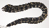  ( - VIS-086)  @11 [ ] CreativeCommons  Attribution Non-Commercial (by-nc) (2015) Unspecified Smithsonian Institution National Museum of Natural History