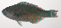  ( - VIS-182)  @11 [ ] CreativeCommons  Attribution Non-Commercial (by-nc) (2015) Unspecified Smithsonian Institution National Museum of Natural History