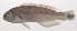  ( - VIS-199)  @11 [ ] CreativeCommons  Attribution Non-Commercial (by-nc) (2015) Unspecified Smithsonian Institution National Museum of Natural History