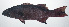  ( - VIS-297)  @11 [ ] CreativeCommons  Attribution Non-Commercial (by-nc) (2015) Unspecified Smithsonian Institution National Museum of Natural History