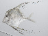  ( - PHIL-027)  @11 [ ] CreativeCommons  Attribution Non-Commercial (by-nc) (2015) Unspecified Smithsonian Institution National Museum of Natural History