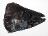  ( - PHIL-301)  @11 [ ] CreativeCommons  Attribution Non-Commercial (by-nc) (2015) Unspecified Smithsonian Institution National Museum of Natural History