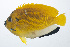  ( - RP-009)  @11 [ ] CreativeCommons  Attribution Non-Commercial (by-nc) (2012) Unspecified Smithsonian Institution National Museum of Natural History