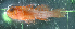  ( - PIL-357)  @11 [ ] CreativeCommons  Attribution Non-Commercial (by-nc) (2014) Unspecified Old Dominion University