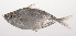  ( - VIS-014)  @11 [ ] CreativeCommons  Attribution Non-Commercial (by-nc) (2015) Unspecified Smithsonian Institution National Museum of Natural History