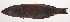  ( - VIS-024)  @11 [ ] CreativeCommons  Attribution Non-Commercial (by-nc) (2015) Unspecified Smithsonian Institution National Museum of Natural History