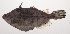  ( - VIS-049)  @11 [ ] CreativeCommons  Attribution Non-Commercial (by-nc) (2015) Unspecified Smithsonian Institution National Museum of Natural History