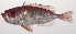  ( - VIS-066)  @11 [ ] CreativeCommons  Attribution Non-Commercial (by-nc) (2015) Unspecified Smithsonian Institution National Museum of Natural History