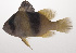  ( - VIS-155)  @11 [ ] CreativeCommons  Attribution Non-Commercial (by-nc) (2015) Unspecified Smithsonian Institution National Museum of Natural History