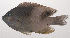  ( - VIS-270)  @11 [ ] CreativeCommons  Attribution Non-Commercial (by-nc) (2015) Unspecified Smithsonian Institution National Museum of Natural History