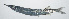  ( - VIS-313)  @11 [ ] CreativeCommons  Attribution Non-Commercial (by-nc) (2015) Unspecified Smithsonian Institution National Museum of Natural History