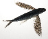  ( - PHIL-469)  @11 [ ] CreativeCommons  Attribution Non-Commercial (by-nc) (2015) Unspecified Smithsonian Institution National Museum of Natural History