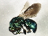  ( - BIOUG01134-A07)  @14 [ ] CreativeCommons - Attribution (2012) CBG Photography Group Centre for Biodiversity Genomics