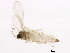  ( - BIOUG01125-E07)  @12 [ ] CreativeCommons - Attribution (2012) CBG Photography Group Centre for Biodiversity Genomics