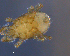  ( - BIOUG01147-E05)  @12 [ ] CreativeCommons - Attribution (2014) CBG Photography Group Centre for Biodiversity Genomics