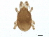  ( - BIOUG01147-E05)  @12 [ ] CreativeCommons - Attribution (2012) CBG Photography Group Centre for Biodiversity Genomics