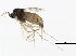  ( - BIOUG01117-D08)  @12 [ ] CreativeCommons - Attribution (2012) CBG Photography Group Centre for Biodiversity Genomics