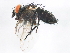  ( - BIOUG01121-C12)  @12 [ ] CreativeCommons - Attribution (2012) CBG Photography Group Centre for Biodiversity Genomics