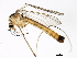  ( - BIOUG01121-F08)  @12 [ ] CreativeCommons - Attribution (2012) CBG Photography Group Centre for Biodiversity Genomics