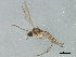  ( - BIOUG01479-A02)  @12 [ ] CreativeCommons - Attribution (2012) CBG Photography Group Centre for Biodiversity Genomics