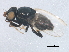  ( - BIOUG01446-E02)  @13 [ ] CreativeCommons - Attribution (2012) CBG Photography Group Centre for Biodiversity Genomics