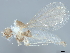  ( - BIOUG01446-E12)  @11 [ ] CreativeCommons - Attribution (2022) CBG Photography Group Centre for Biodiversity Genomics