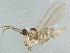  ( - BIOUG01479-C01)  @12 [ ] CreativeCommons - Attribution (2012) CBG Photography Group Centre for Biodiversity Genomics