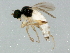  ( - BIOUG01476-E02)  @13 [ ] CreativeCommons - Attribution (2012) CBG Photography Group Centre for Biodiversity Genomics