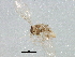  ( - BIOUG01478-G05)  @12 [ ] CreativeCommons - Attribution (2012) CBG Photography Group Centre for Biodiversity Genomics