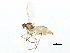  ( - BIOUG01449-G10)  @13 [ ] CreativeCommons - Attribution (2012) CBG Photography Group Centre for Biodiversity Genomics