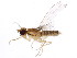  ( - BIOUG01360-E11)  @13 [ ] CreativeCommons - Attribution (2012) CBG Photography Group Centre for Biodiversity Genomics