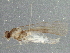  ( - BIOUG01479-F01)  @12 [ ] CreativeCommons - Attribution (2013) CBG Photography Group Centre for Biodiversity Genomics