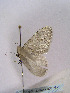  ( - TLMF Lep 00242)  @14 [ ] CreativeCommons - Attribution Non-Commercial Share-Alike (2010) Unspecified Tiroler Landesmuseen