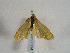 ( - TLMF Lep 00294)  @13 [ ] CreativeCommons - Attribution Non-Commercial Share-Alike (2010) Unspecified Tiroler Landesmuseen