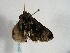  ( - TLMF Lep 00302)  @12 [ ] CreativeCommons - Attribution Non-Commercial Share-Alike (2010) Unspecified Tiroler Landesmuseen