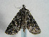  ( - TLMF Lep 00339)  @13 [ ] CreativeCommons - Attribution Non-Commercial Share-Alike (2010) Unspecified Tiroler Landesmuseen