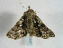  ( - TLMF Lep 00347)  @13 [ ] CreativeCommons - Attribution Non-Commercial Share-Alike (2010) Unspecified Tiroler Landesmuseen