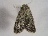  ( - TLMF Lep 00351)  @12 [ ] CreativeCommons - Attribution Non-Commercial Share-Alike (2010) Unspecified Tiroler Landesmuseen