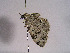  ( - TLMF Lep 00357)  @13 [ ] CreativeCommons - Attribution Non-Commercial Share-Alike (2010) Unspecified Tiroler Landesmuseen