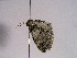  ( - TLMF Lep 00360)  @12 [ ] CreativeCommons - Attribution Non-Commercial Share-Alike (2010) Unspecified Tiroler Landesmuseen